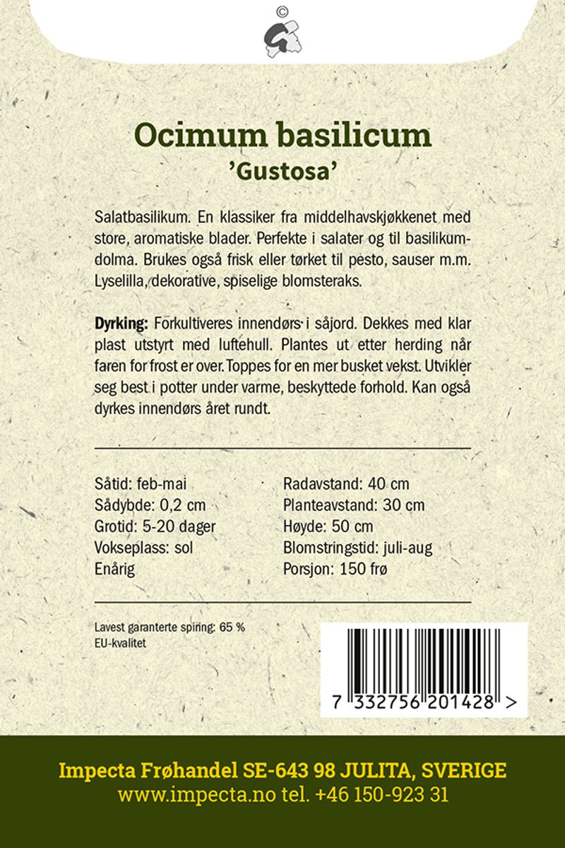 Storbladet Basilikum Gustosa