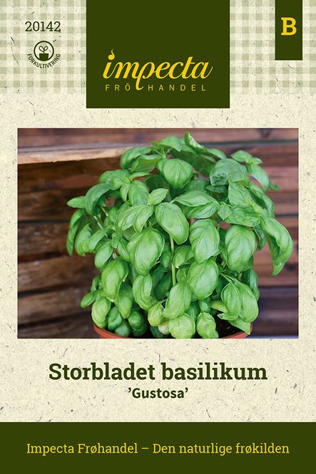 Hovedbilde Storbladet Basilikum Gustosa