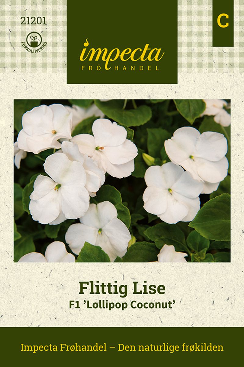 Flittig Lise F1 Lollipop Cocon