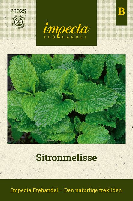 Hovedbilde Sitronmelisse