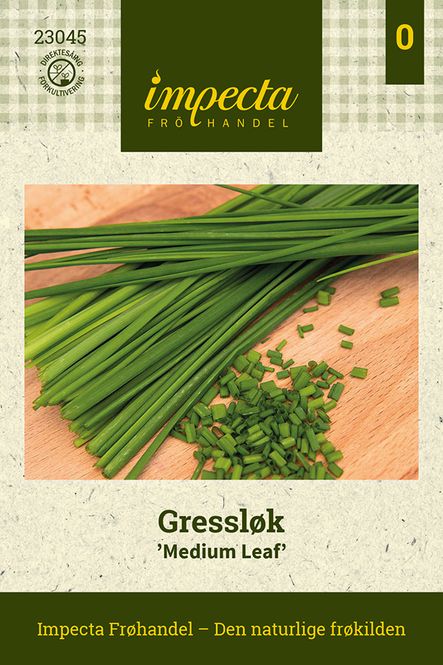 Hovedbilde Gressløk 'Medium Leaf'