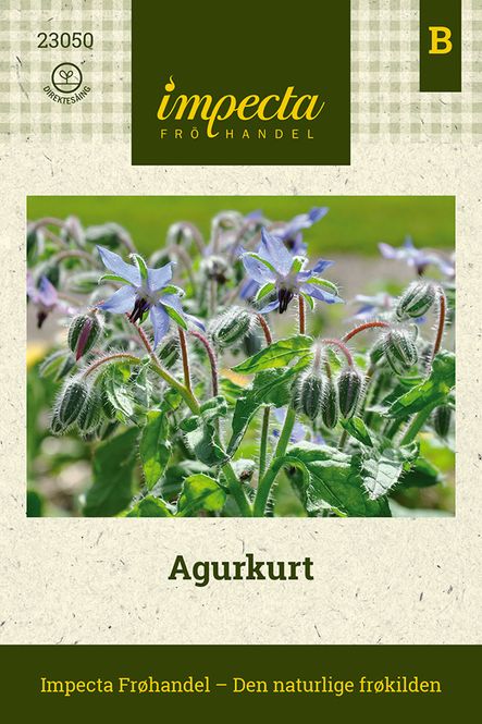 Hovedbilde Agurkurt