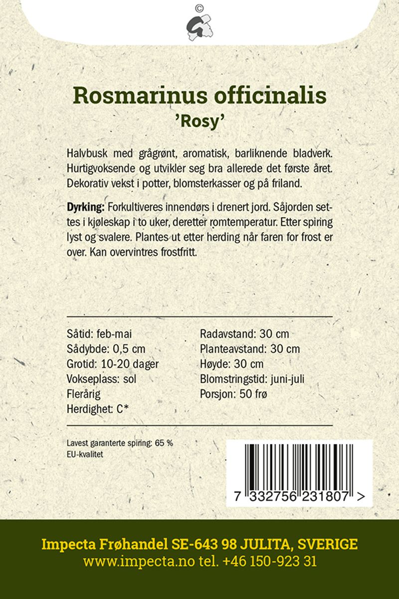 Rosmarin 'Rosy'