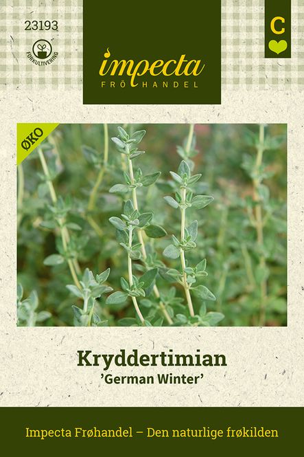 Hovedbilde Kryddertimian 'German Winter'