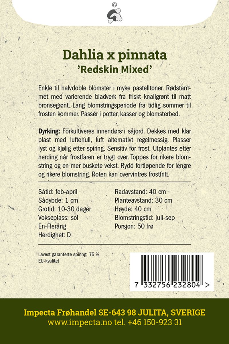 Georgine 'Redskin Mixed'