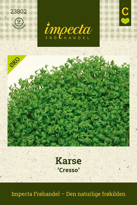 Hovedbilde Karse 'Cresso'