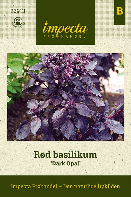 Hovedbilde Rød Basilikum Dark Opal