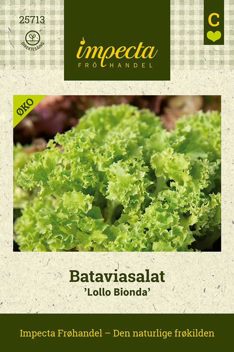Bataviasalat 'Lollo Bionda'