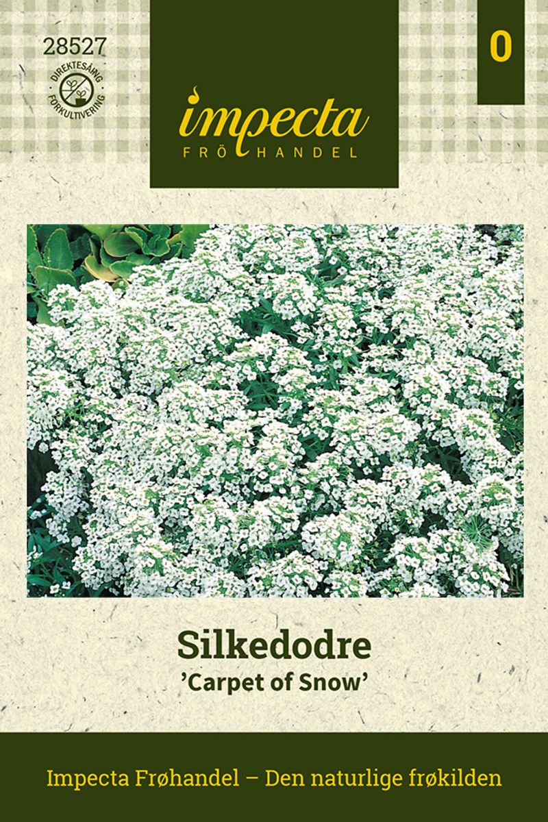 Silkedodre 'Carpet Of Snow'