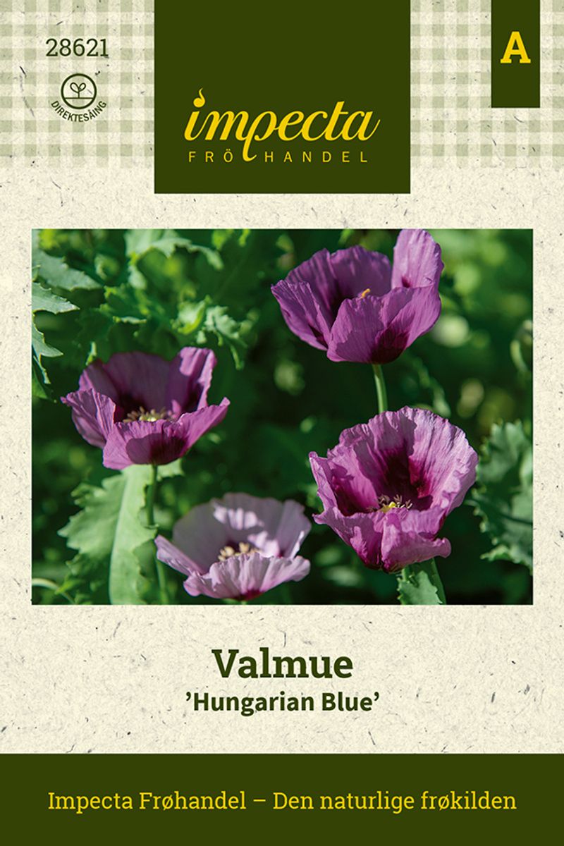 Valmue Hungarian Blue