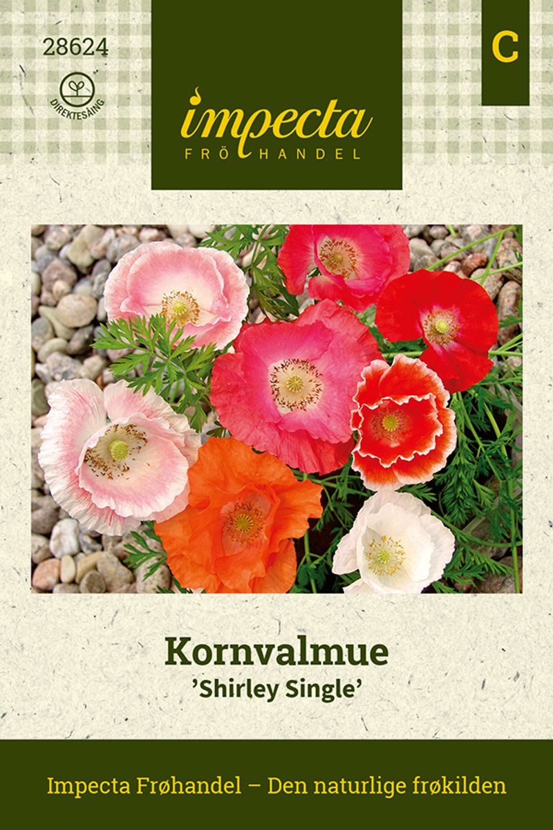 Kornvalmue Shirley Single