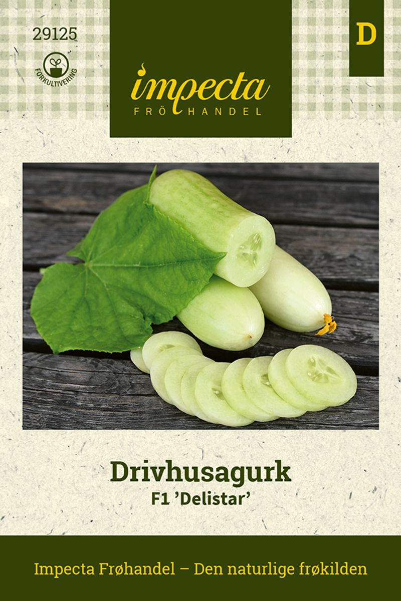 Drivhusagurk F1 'Delistar'