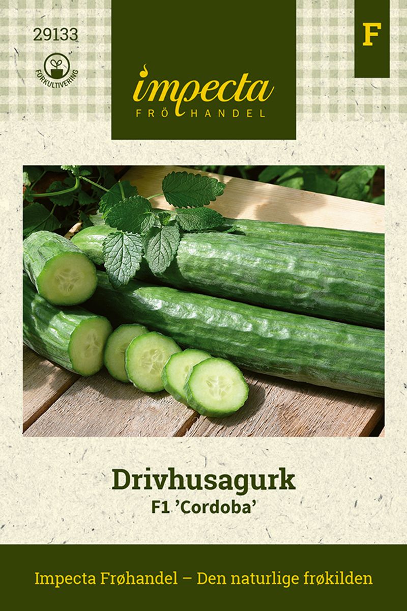 Drivhusagurk F1 'Cordoba'