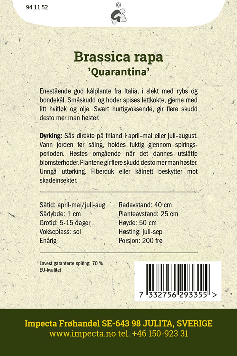 Rapini 'Quarantina'