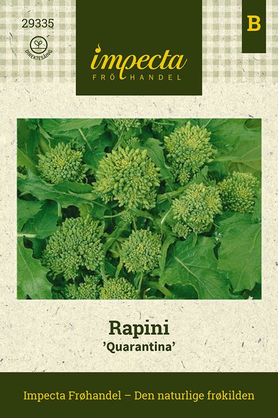 Hovedbilde Rapini 'Quarantina'