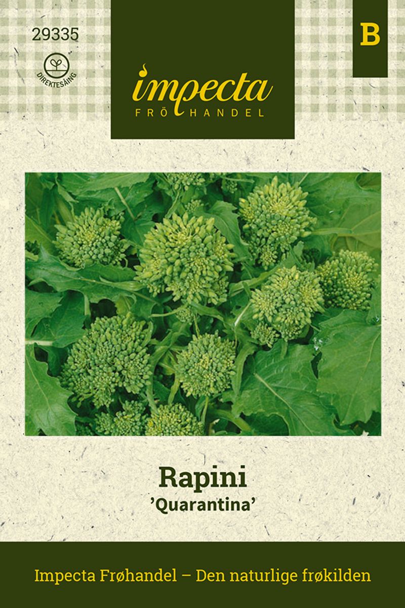 Rapini 'Quarantina'