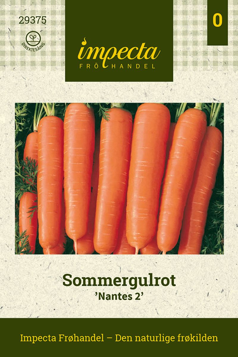 Sommergulrot 'Nantes 2'