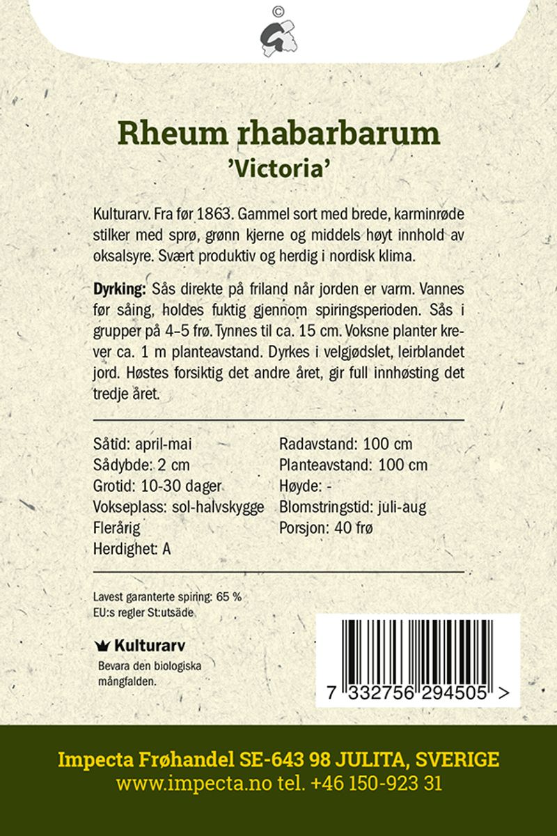 Rabarbra 'Victoria'