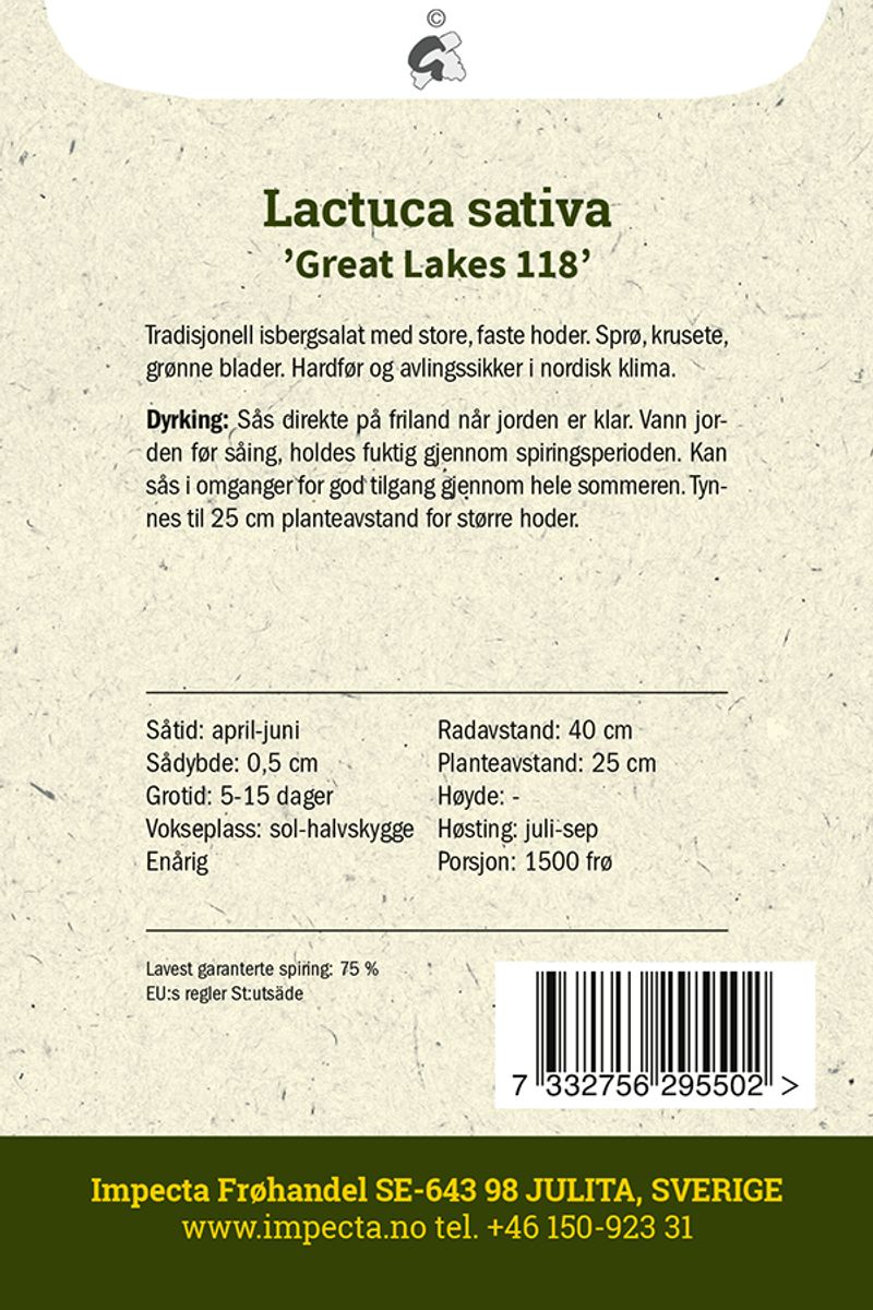 Isbergsalat 'Great Lakes 118'