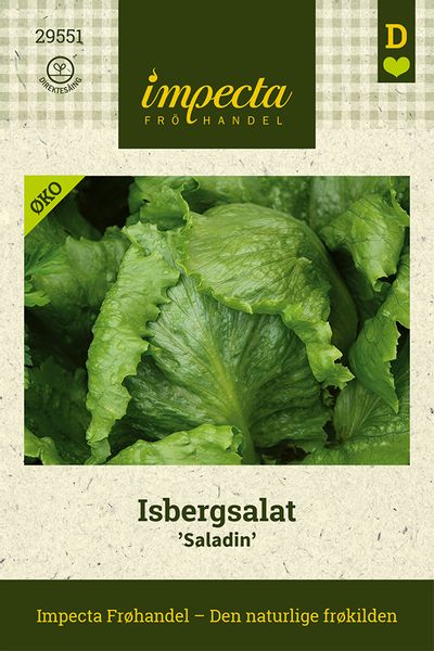 Hovedbilde Isbergsalat 'Saladin'