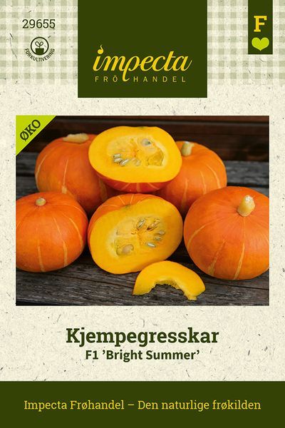 Hovedbilde Kjempegresskar F1 'Bright Summer'