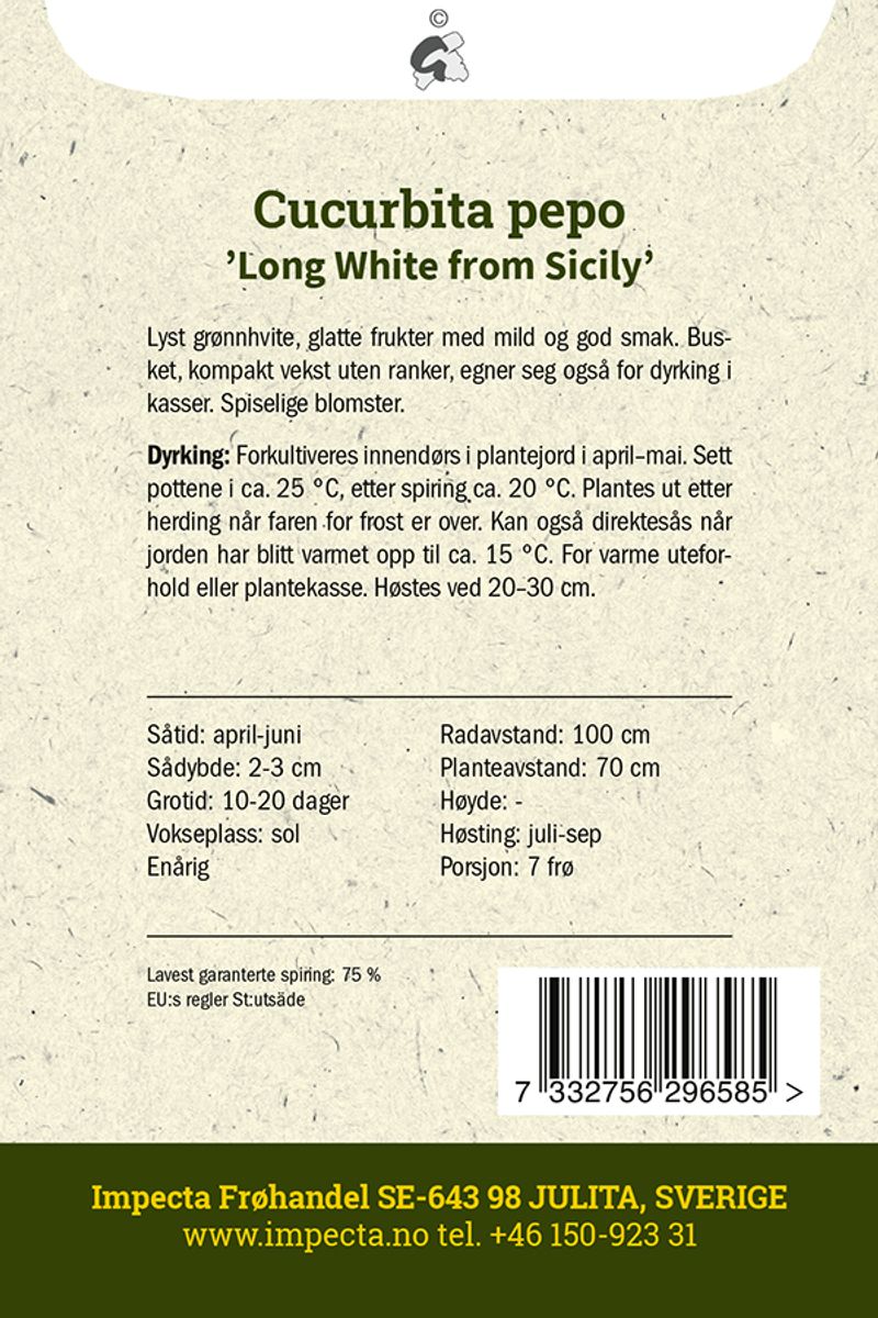 Squash 'Long White from Sicily'