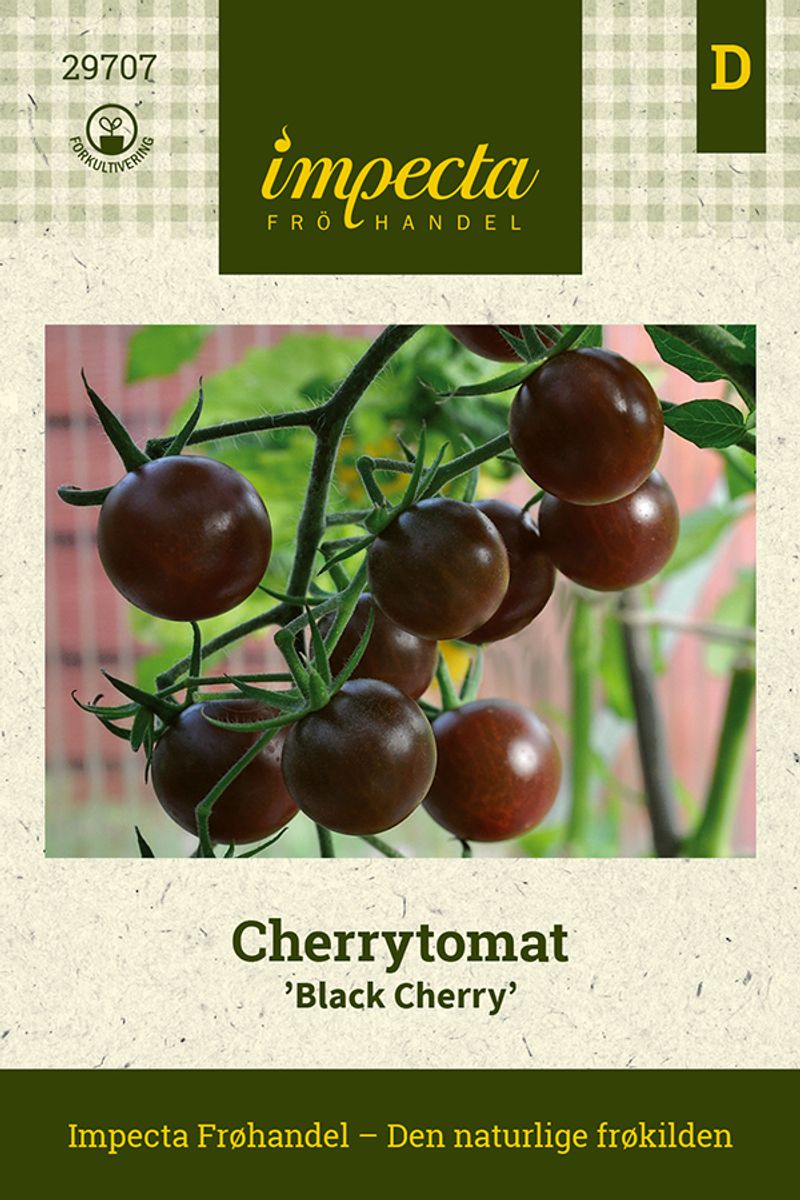 Cherrytomat Black Cherry
