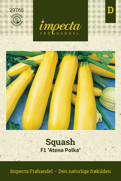 Hovedbilde Squash F1 'Atena Polka'