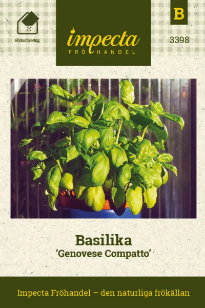 Hovedbilde BASILIKUM GENOVESE COMPATTO