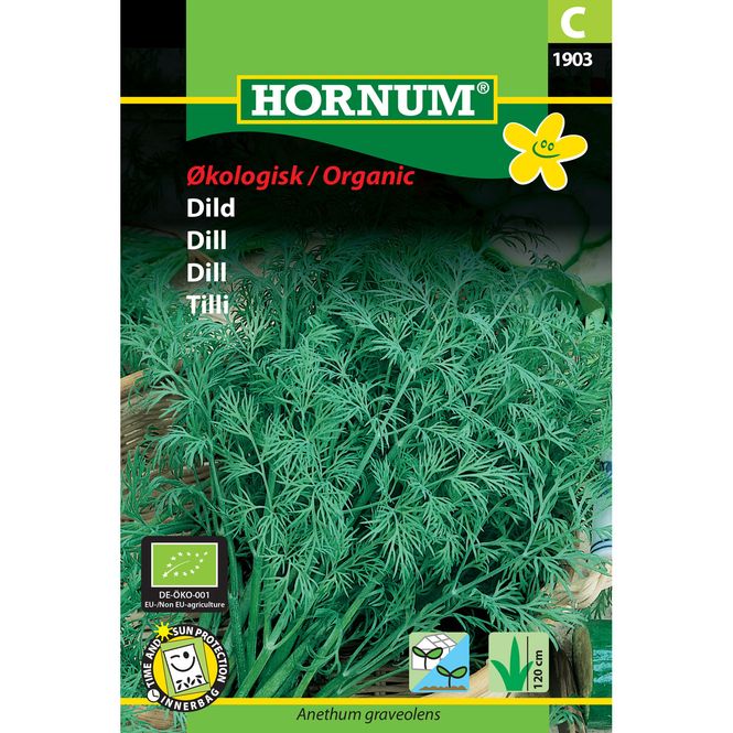 Hovedbilde Dill - økologisk