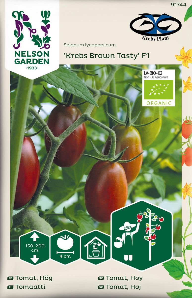 Tomat Cocktail. 'Krebs Brown Tasty' F1