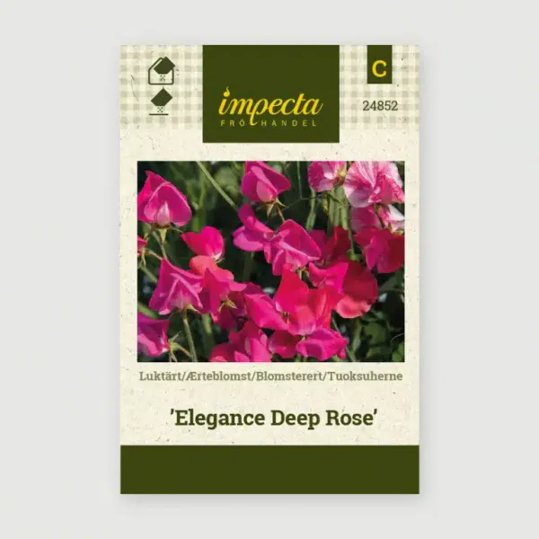 Hovedbilde BLOMSTERERT ELEGANCE DEEP ROSE