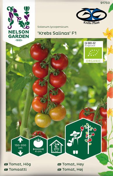 Hovedbilde Tomat Cocktail. ''Krebs Salinas' F1